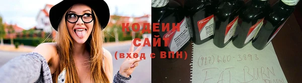 СК Бронницы