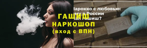 spice Богородицк