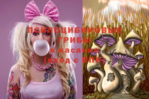 бошки Богородск