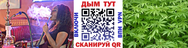 Купить закладки  Вуктыл  Шишки марихуана Amnesia 